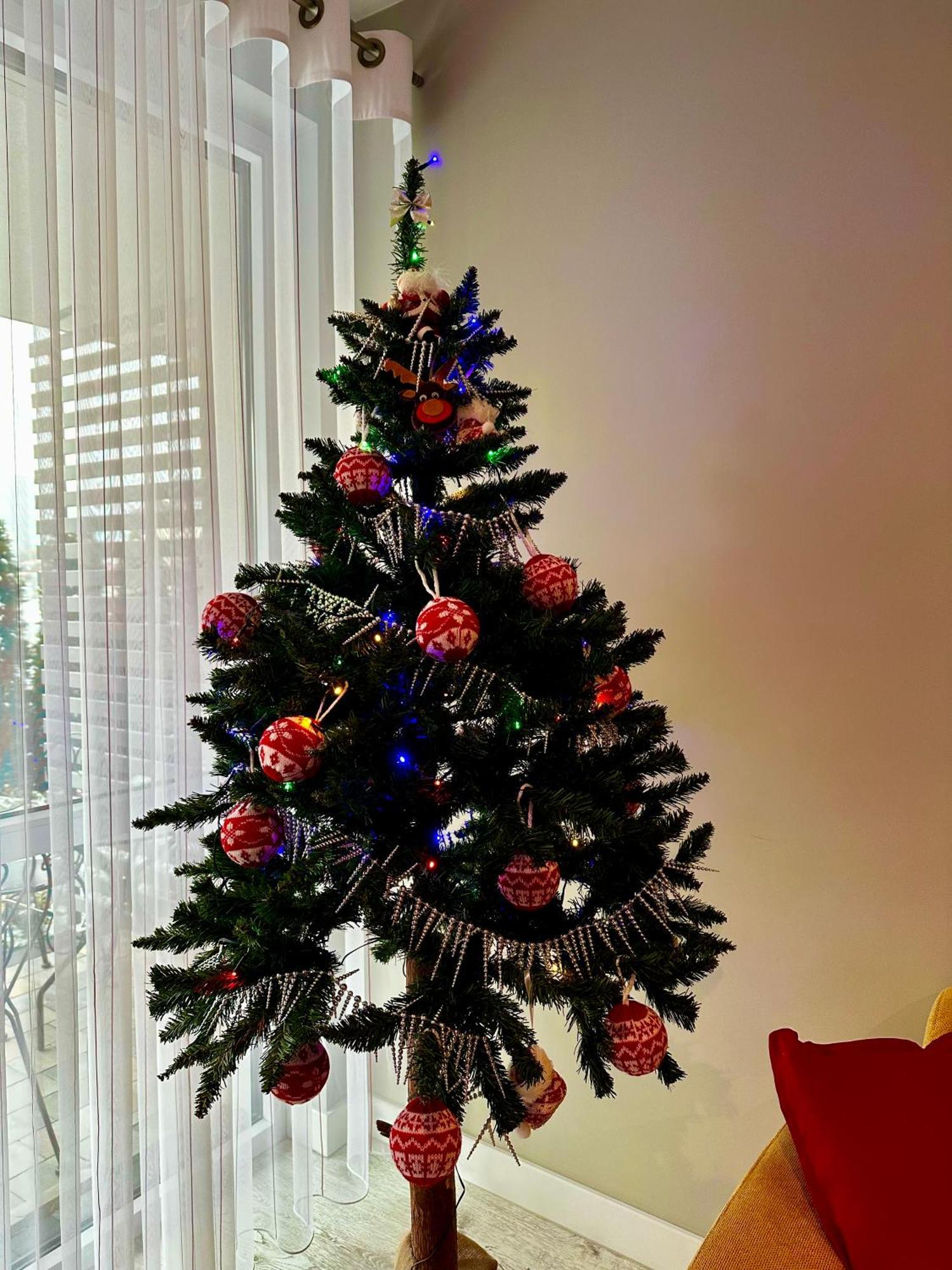 Apartament Z Widokiem Na Szyndzielnie بييلسكو بياوا المظهر الخارجي الصورة